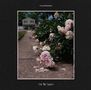 Oben: "FLATMARES". Unten: "Tell Me Secrets". Ein Gehweg mit blühenden rosa Pfingstrosen und einem Haus im Hintergrund., CD
