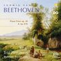 Ludwig van Beethoven: Ludwig van Beethoven: Piano Trios (Werner Dabringhaus), SACD