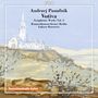 Andrzej Panufnik (1914-1991): Orchesterwerke Vol.5, CD