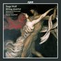 Hugo Wolf: Streichquartett d-moll, CD