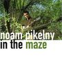 Noam Pikelny: In The Maze, CD