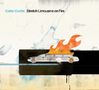 Catie Curtis: Stretch Limousine On Fire, CD