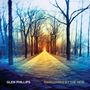 Glen Phillips (Toad The Wet Sprocket): Swallowed By The New, CD