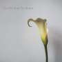 The Brother Brothers: Calla Lily, CD