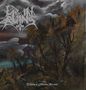Lie In Ruins: Floating in Timeless Streams, CD, CD