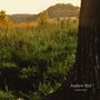 Andrew Bird: Noble Beast, LP,LP