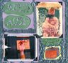 Modest Mouse: Sad Sappy Sucker, CD