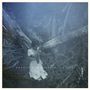 French For Rabbits: Spirits, LP