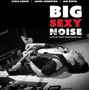 "BIG SEXY NOISE" steht in großen Buchstaben. Darunter liegt eine Person auf dem Boden mit einer Gitarre., LP
