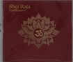 Shez Raja: Spellbound, CD, CD