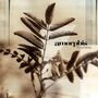 Amorphis: Tuonela (Limited Edition) (Black & Gold Galaxy Merge Vinyl), LP