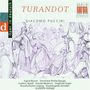 Giacomo Puccini: Turandot (Ausz.in dt.Spr.), CD