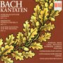 Johann Sebastian Bach (1685-1750): Kantaten BWV 26,173,173a, CD