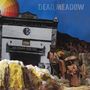 Dead Meadow: The Nothing They Need, CD