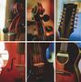 Links oben gebogene Wirbel eines Streichinstruments, rechts oben Gitarrenkopf, unten Streichinstrumente und Akustikgitarre., LP