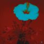 Keine Texte erkennbar. Illustration einer blauen Blume vor einem roten Hintergrund., 2 LPs