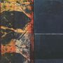 Ivo Perelman & Nate Wooley: Polarity 2, CD, CD