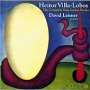 Heitor Villa-Lobos (1887-1959): Etüden für Gitarre Nr.1-12, CD