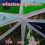 Text: "winston hightower", "100 acre wood". Gemälde mit Sternform, Natur- und Nachtszenen in verschiedenen Segmenten., LP