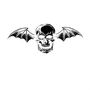 Avenged Sevenfold: Avenged Sevenfold (Red Vinyl), 2 LPs