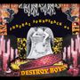 Destroy Boys: Funeral Soundtrack #4 (Transparent Red Vinyl), LP