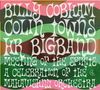 Billy Cobham & Colin Towns: A Celebration Of The Mahavishnu Orchestra, CD