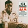 Washboard Sam: Washboard Sam: Best Of Blues Vol.1, CD, CD