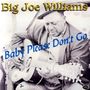 Big Joe Williams (Guitar / Blues): Baby Please Don't Go, CD