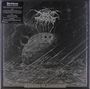 Darkthrone: Shadows Of Iconoclasm (Limited Edition Box Set), LP,LP,LP,LP,LP,LP,SIN,MC,MC,MC,MC,DVD,Buch