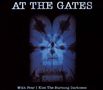 At The Gates: With Fear I Kiss The Burning Darkness (180g) (Limited Edition), LP