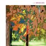 Brian Eno: Lux (2020 Reissue) (180g), 2 LPs