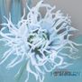 Mick Karn (ex-Japan): More Better Different, CD