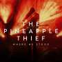 The Pineapple Thief: Where We Stood: Live (Reissue), CD,BR