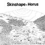 "Skinshape x Horus". Eine detailreiche Schwarz-Weiß-Illustration zeigt eine Landschaft mit Hügeln, Wäldern und Sträuchern., CD