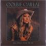 Colbie Caillat: Along The Way (Indie Exclusive Edition) (Teal Vinyl), LP