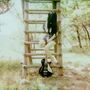 Person sitzt auf Holzleiter in einem sonnigen Wald. Eine schwarze Gitarre lehnt unten an der Leiter., LP