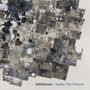 Steve Lehman & Sélébéyone: Xaybu: The Unseen, LP, LP