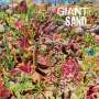 Giant Sand: Returns To Valley Of Rain, CD