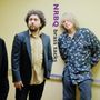 NRBQ: Brass Tacks(10th Anniversary Edition), LP