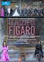 Wolfgang Amadeus Mozart: Die Hochzeit des Figaro, DVD,DVD