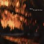 Text: "Bloom" und "The Light We Chase". Verschwommenes, warmes Leuchten von Bäumen., CD