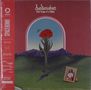 Bedouine: Bird Songs Of A Killjoy (Black Vinyl), LP
