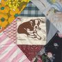 Mapache: Roscoe's Dream, 2 LPs, 2 LPs