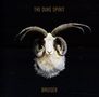 The Duke Spirit: Bruiser, CD, CD