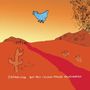 Sam Amidon: But This Chicken Proved Falsehearted, CD