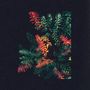 Dark Sky: Othona, LP,LP
