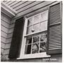 Beach Fossils: What A Pleasure, CD, CD