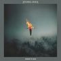 Stoned Jesus: Songs to Sun, LP