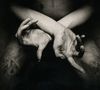 Shining: X-Varg Utan Flock, CD, CD