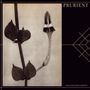 Prurient: The Black Post Society, CD, CD